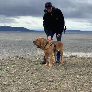 Meet your Posher, Chase